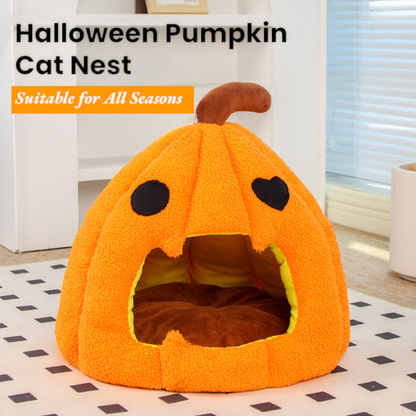 Halloween Pumpkin Cat House